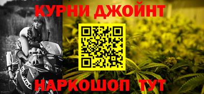 СК Гатчина