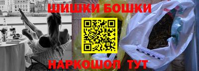 СК Гатчина