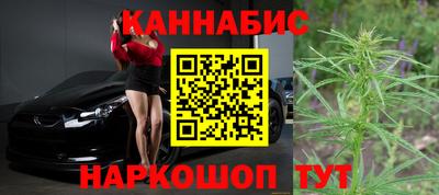 СК Гатчина