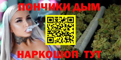 СК Гатчина