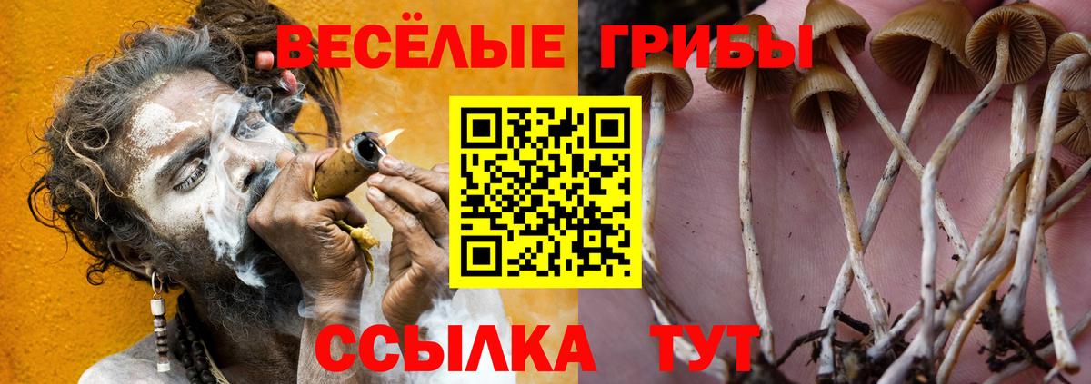 Галлюциногенные грибы ЛСД Партизанск