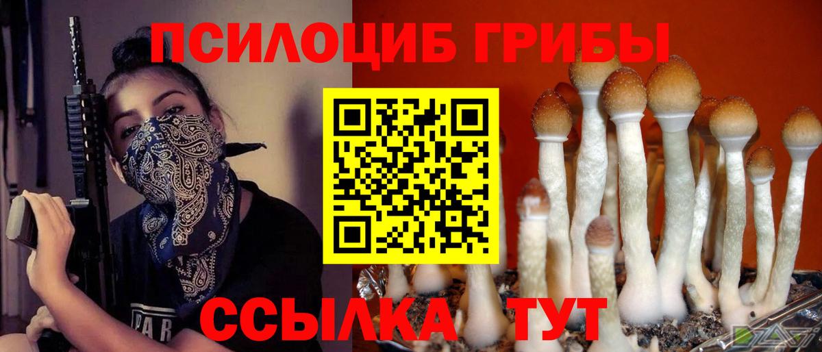 как найти   Псилоцибиновые грибы MAGIC MUSHROOMS  Вход с VPN  Псилоцибиновые грибы GOLDEN TEACHER  Партизанск 